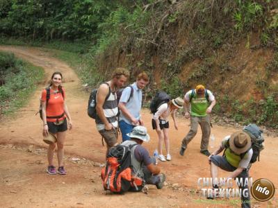 3-days/2-nights Trekking Tour | Chiang Mai Trekking | The best trekking in Chiang Mai with Piroon Nantaya